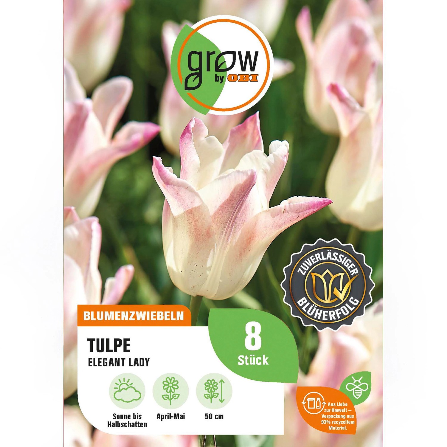 GROW by OBI Tulpe Elegant Lady Rosa-Weiß 8 St. Tulipa lily flowering Elegant L. GROW by OBI Tulpe Elegant Lady Rosa-Weiß 8 St. Tulipa lily flowering Elegant L. von GROW by OBI