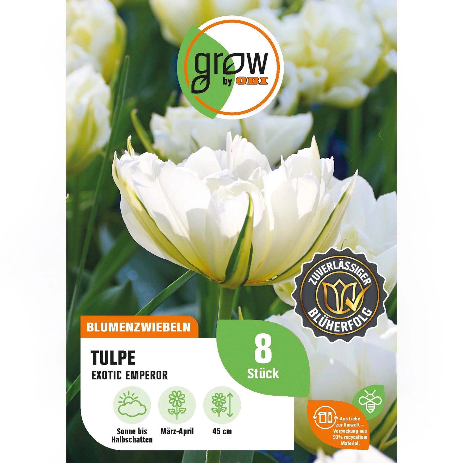 GROW by OBI Tulpe Exotic Emperor Weiß-Grün 8 St.Tulipa double early Exotic E. GROW by OBI Tulpe Exotic Emperor Weiß-Grün 8 St.Tulipa double early Exotic E. von GROW by OBI