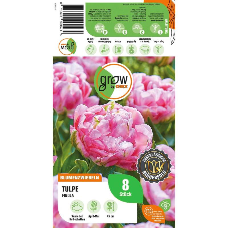 GROW by OBI Tulpe Finola Rosa 8 Stück Tulipa double late Finola von GROW by OBI