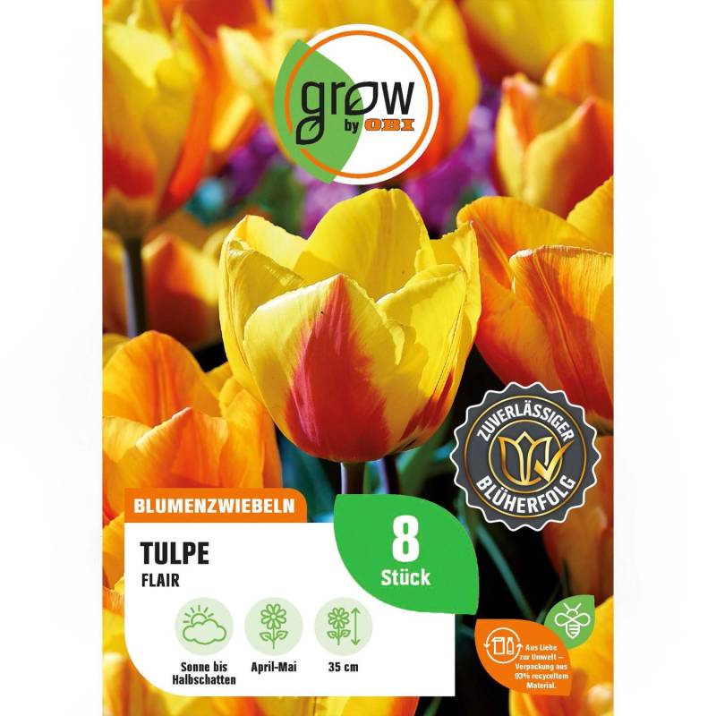 GROW by OBI Tulpe Flair Orange-Gelb 8 Stück Tulipa single early Flair von GROW by OBI