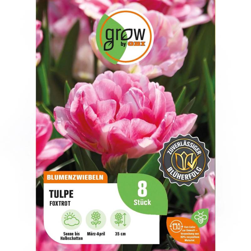 GROW by OBI Tulpe Foxtrot Rosa 8 Stück Tulipa double early Foxtrot von GROW by OBI