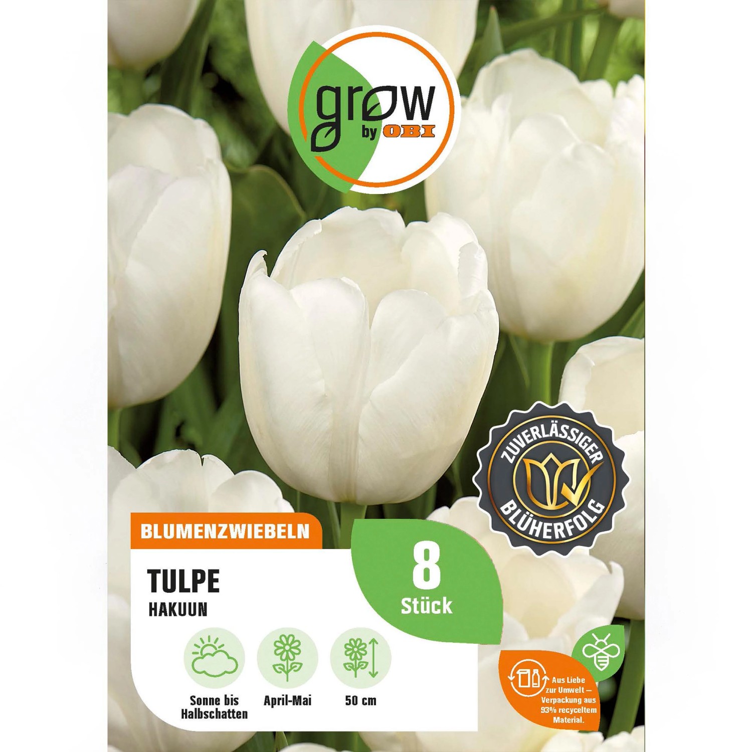 GROW by OBI Tulpe Hakuun Weiß 8 Stück Tulipa Darwin hybrid Hakuun GROW by OBI Tulpe Hakuun Weiß 8 Stück Tulipa Darwin hybrid Hakuun von GROW by OBI