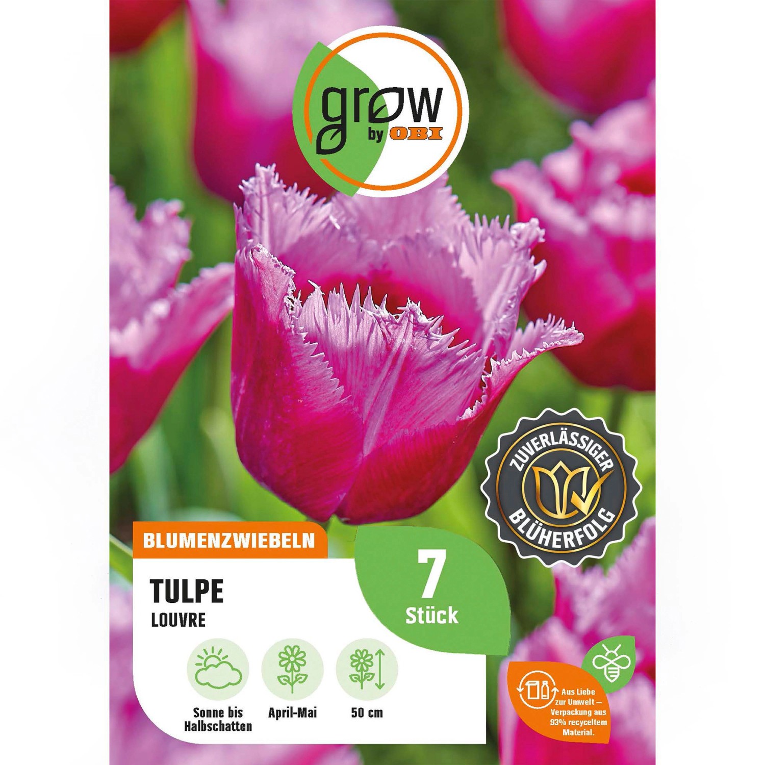 GROW by OBI Tulpe Louvre Lila 7 Stück Tulipa fringed Louvre GROW by OBI Tulpe Louvre Lila 7 Stück Tulipa fringed Louvre von GROW by OBI