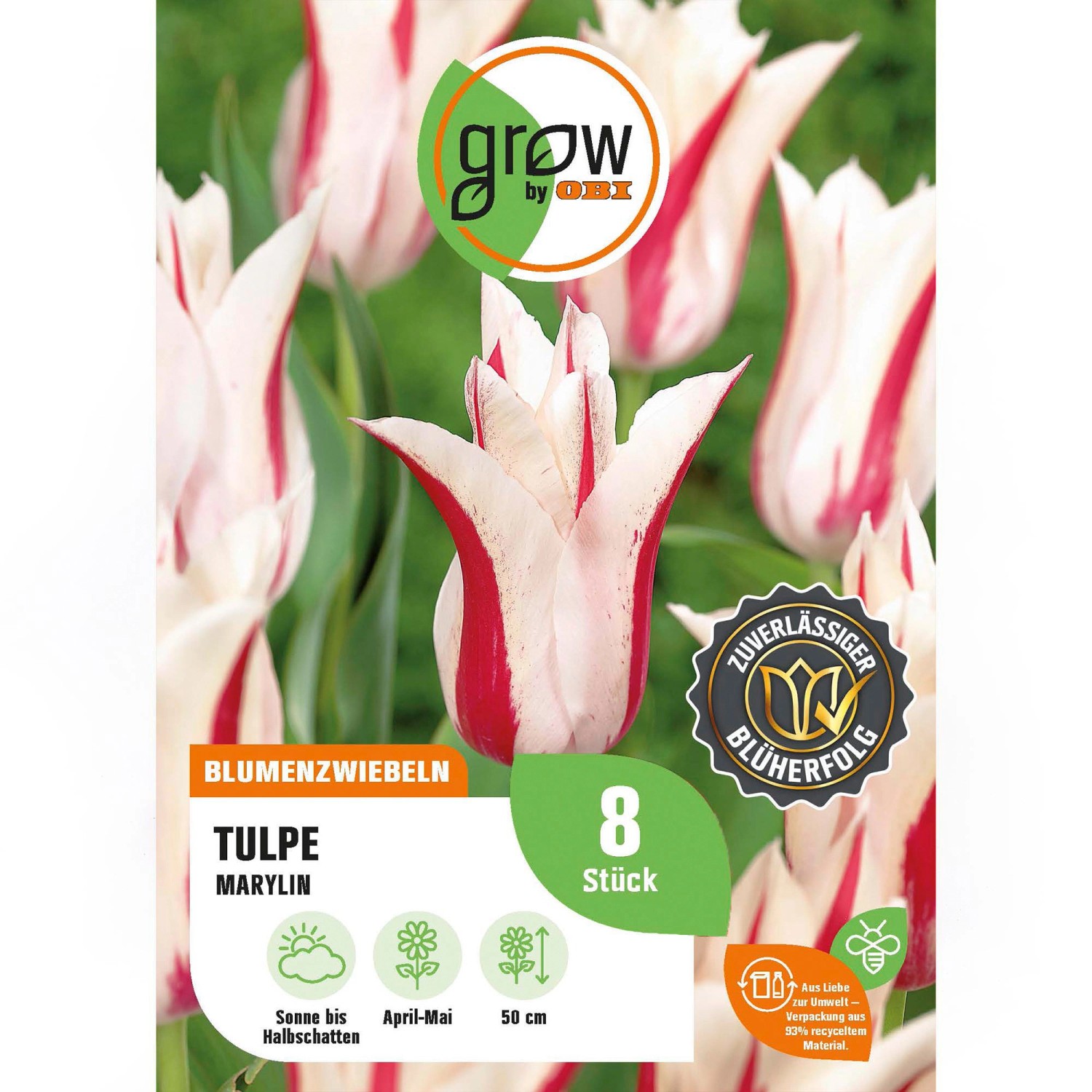 GROW by OBI Tulpe Marylin Rosa-Weiß 8 Stück Tulipa lily flowering Marylin GROW by OBI Tulpe Marylin Rosa-Weiß 8 Stück Tulipa lily flowering Marylin von GROW by OBI