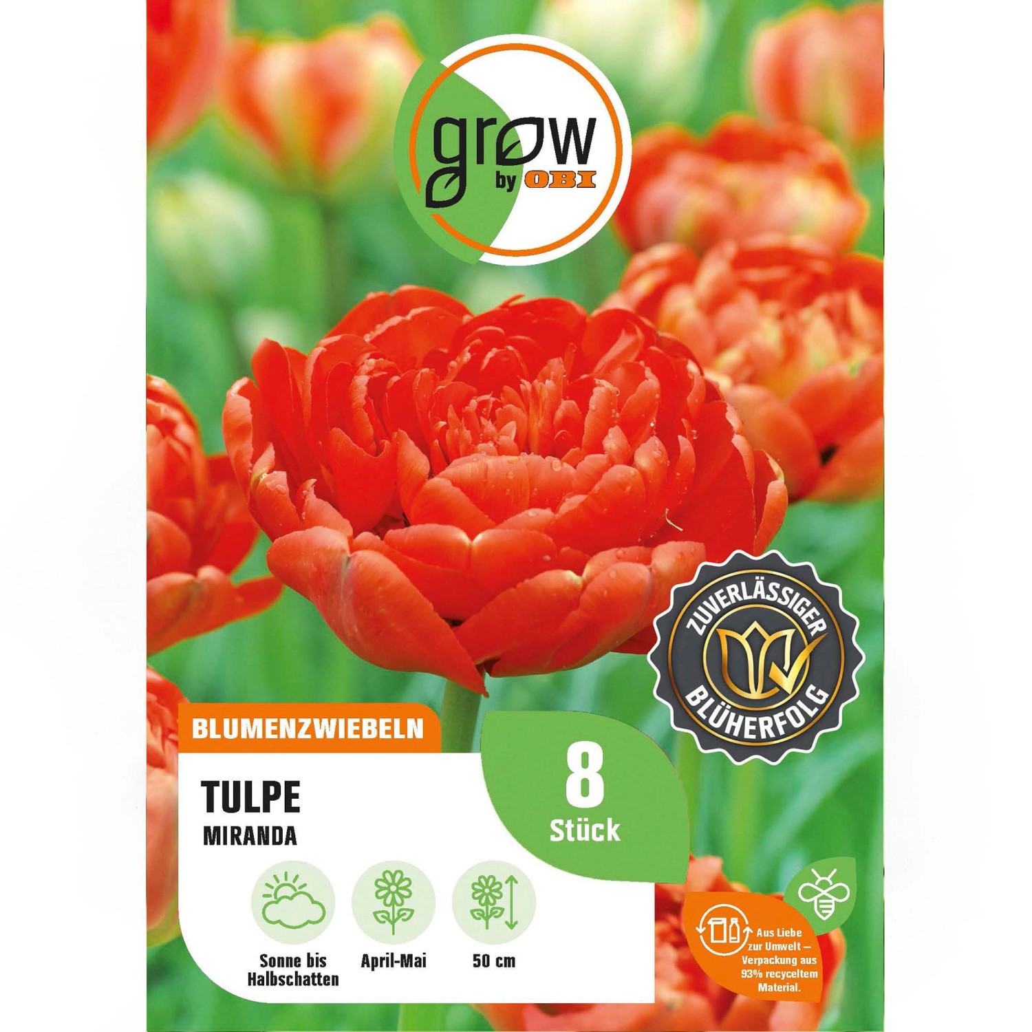 GROW by OBI Tulpe Miranda Rot 8 Stück Tulipa double late Miranda GROW by OBI Tulpe Miranda Rot 8 Stück Tulipa double late Miranda von GROW by OBI