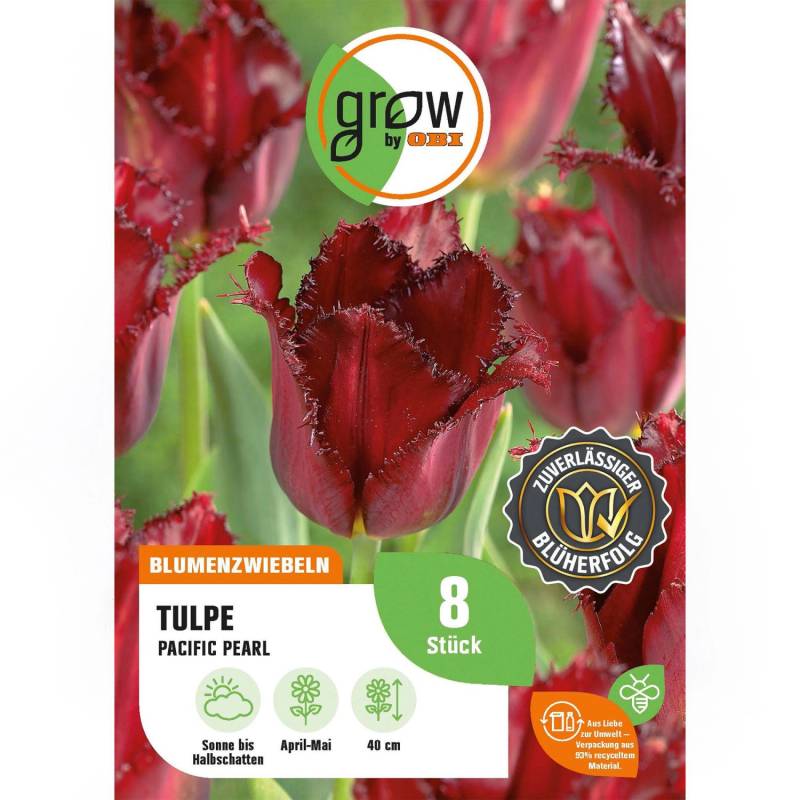 GROW by OBI Tulpe Pacific Pearl Rot 8 Stück Tulipa fringed Pacific Pearl von GROW by OBI