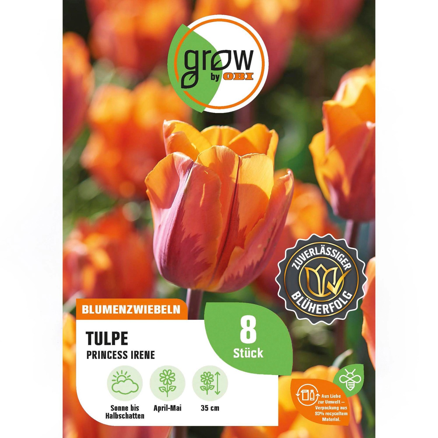GROW by OBI Tulpe Prinses Irene Orange 8 Stück Tulipa triumph Prinses Irene GROW by OBI Tulpe Prinses Irene Orange 8 Stück Tulipa triumph Prinses Irene von GROW by OBI