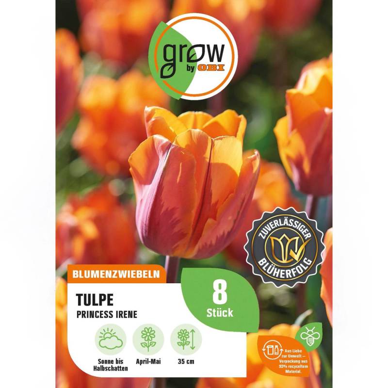 GROW by OBI Tulpe Prinses Irene Orange 8 Stück Tulipa triumph Prinses Irene von GROW by OBI