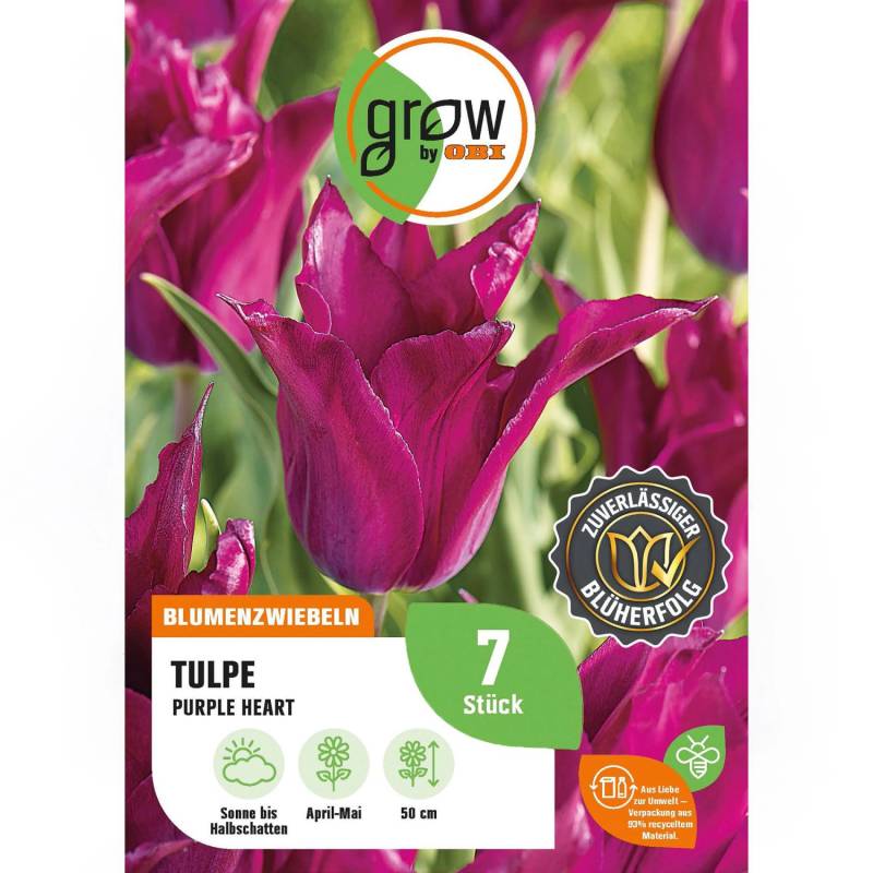 GROW by OBI Tulpe Purple Heart Lila 7 Stück Tulipa lily flowering Purple Heart von GROW by OBI