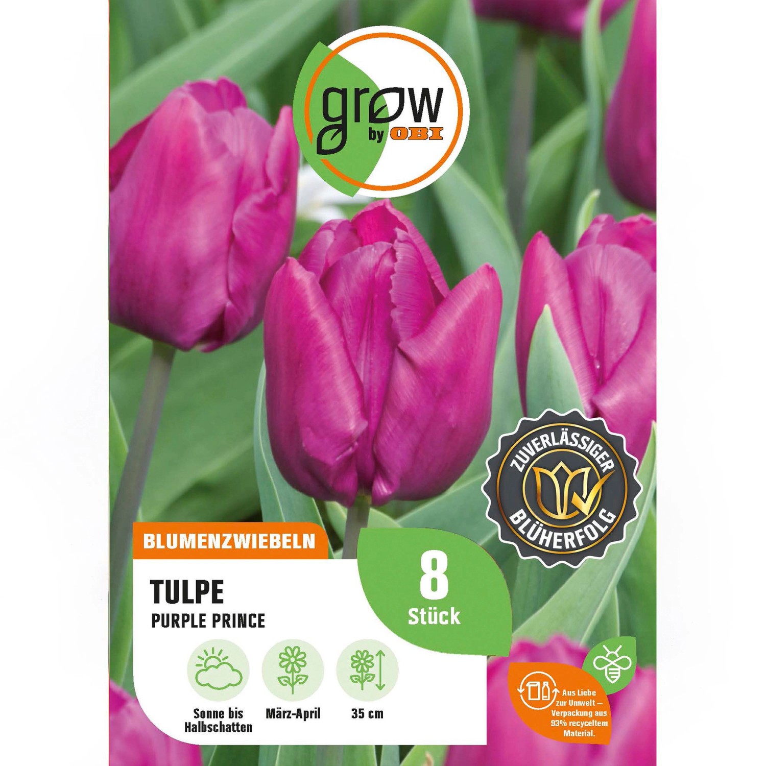 GROW by OBI Tulpe Purple Prince Purple 8 Stück Tulipa single early GROW by OBI Tulpe Purple Prince Purple 8 Stück Tulipa single early von GROW by OBI