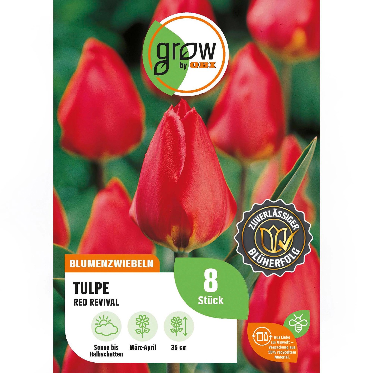 GROW by OBI Tulpe Red Revival Rot 8 Stück Tulipa single early Red Revival GROW by OBI Tulpe Red Revival Rot 8 Stück Tulipa single early Red Revival von GROW by OBI
