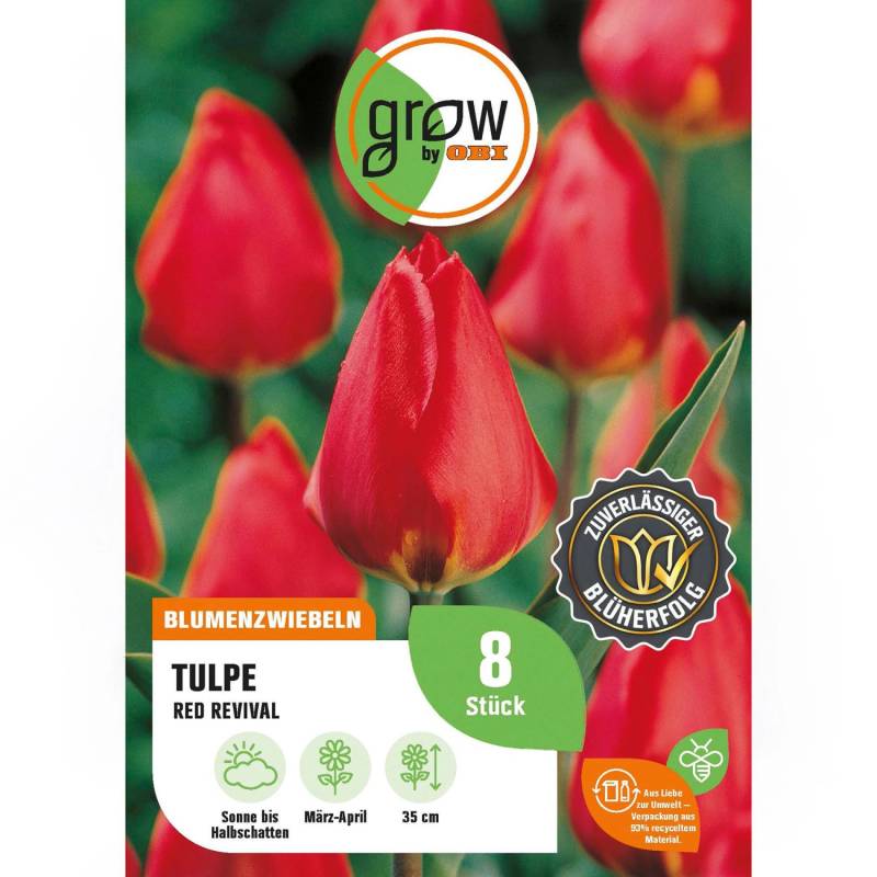 GROW by OBI Tulpe Red Revival Rot 8 Stück Tulipa single early  Red Revival von GROW by OBI