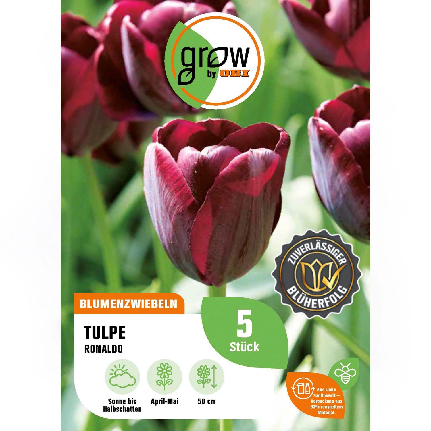GROW by OBI Tulpe Ronaldo Rot 5 Stück Tulipa triumph Ronaldo GROW by OBI Tulpe Ronaldo Rot 5 Stück Tulipa triumph Ronaldo von GROW by OBI