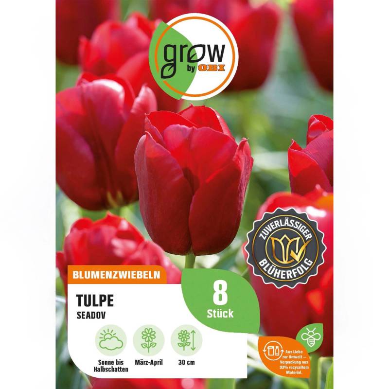 GROW by OBI Tulpe Seadov Rot 8 Stück Tulipa triumph Seadov von GROW by OBI