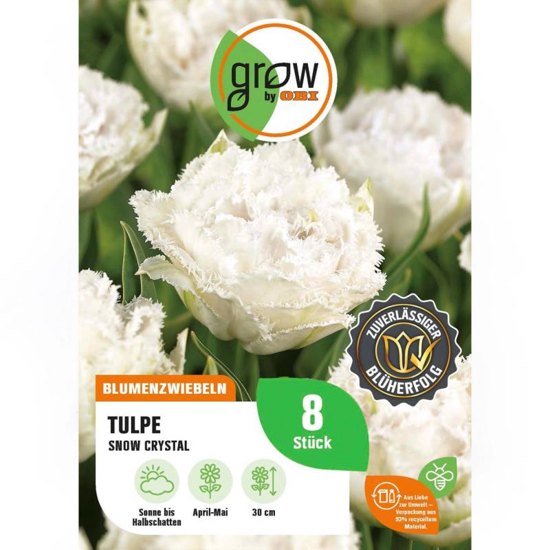 GROW by OBI Tulpe Snow Crystal Satin-Weiß 8 Stück Tulipa fringed Snow Crystal von GROW by OBI
