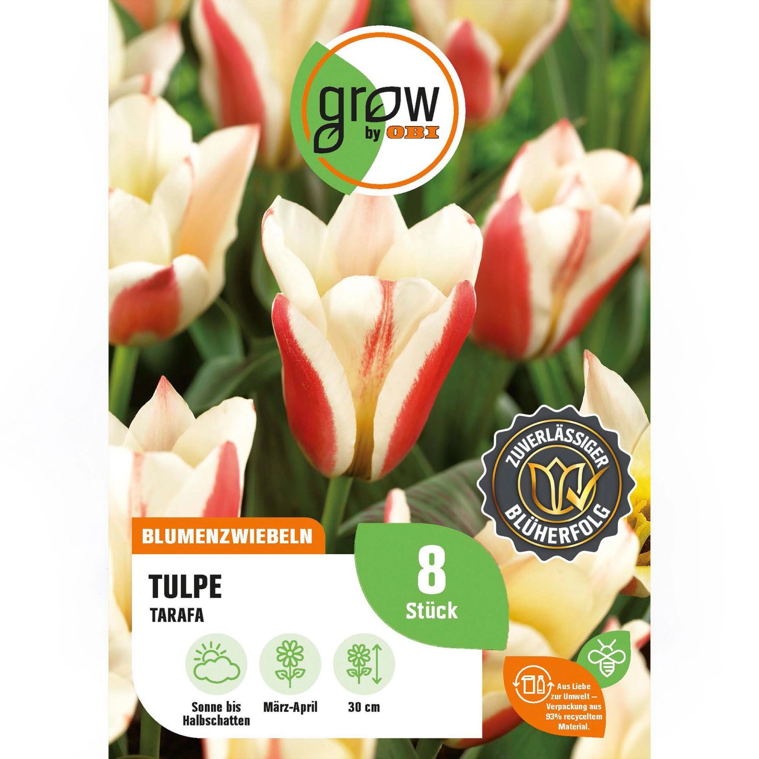 GROW by OBI Tulpe Tarafa Rot-Weiß 8 Stück Tulipa greigii Tarafa GROW by OBI Tulpe Tarafa Rot-Weiß 8 Stück Tulipa greigii Tarafa von GROW by OBI