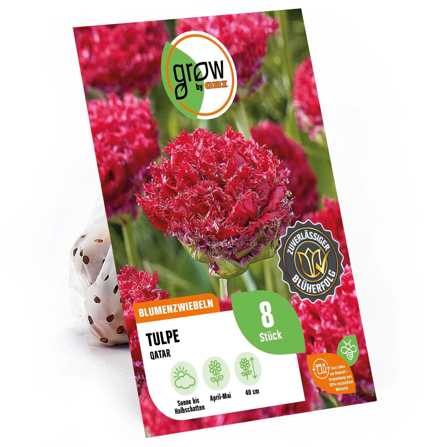 GROW by OBI Tulpe Versaci Rot 8 Stück Tulipa fringed Versaci GROW by OBI Tulpe Versaci Rot 8 Stück Tulipa fringed Versaci von GROW by OBI