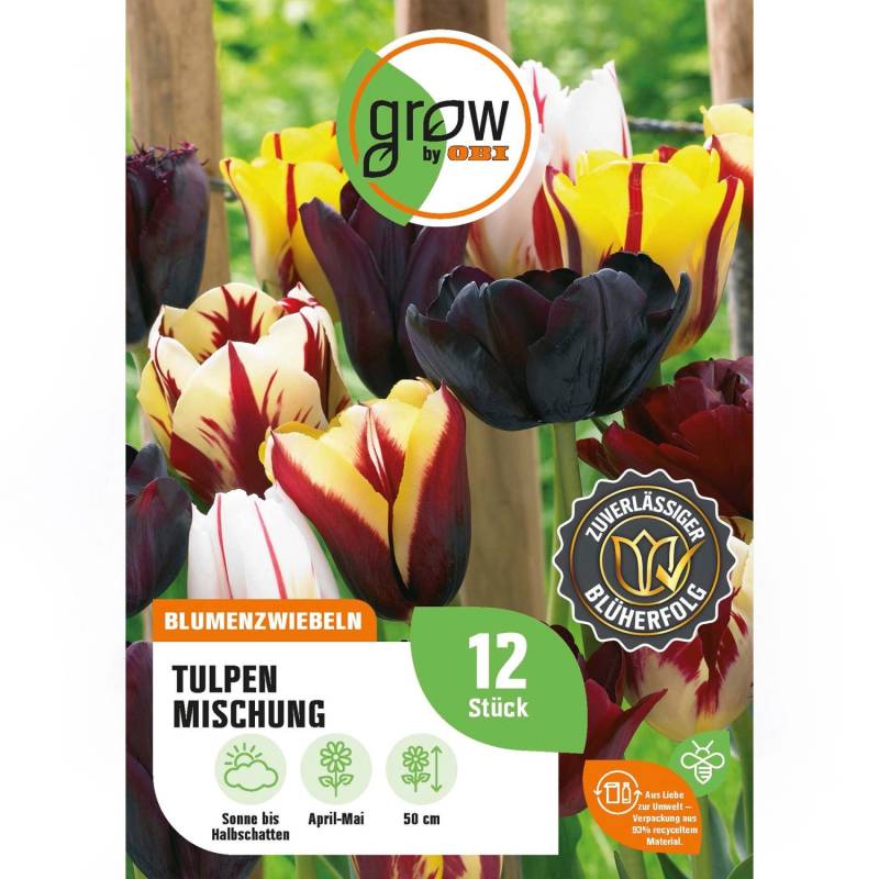 GROW by OBI Tulpen Mischung Nr. 4 / 12 Stück Tulipa mix GROW by OBI Tulpen Mischung Nr. 4 / 12 Stück Tulipa mix von GROW by OBI