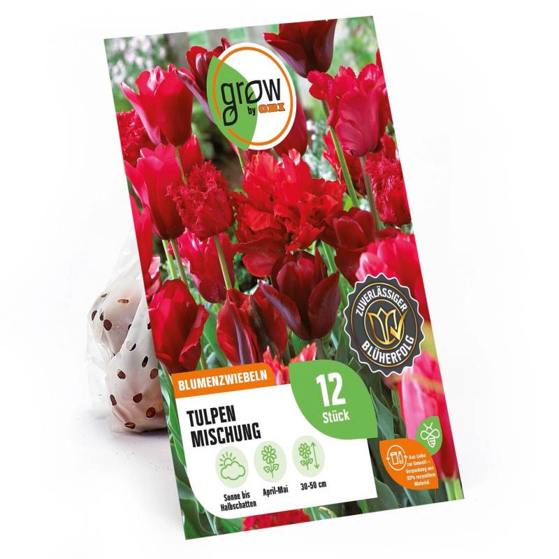 GROW by OBI Tulpen Mischung Nr.5 / 12 Stück Tulipa mix von GROW by OBI