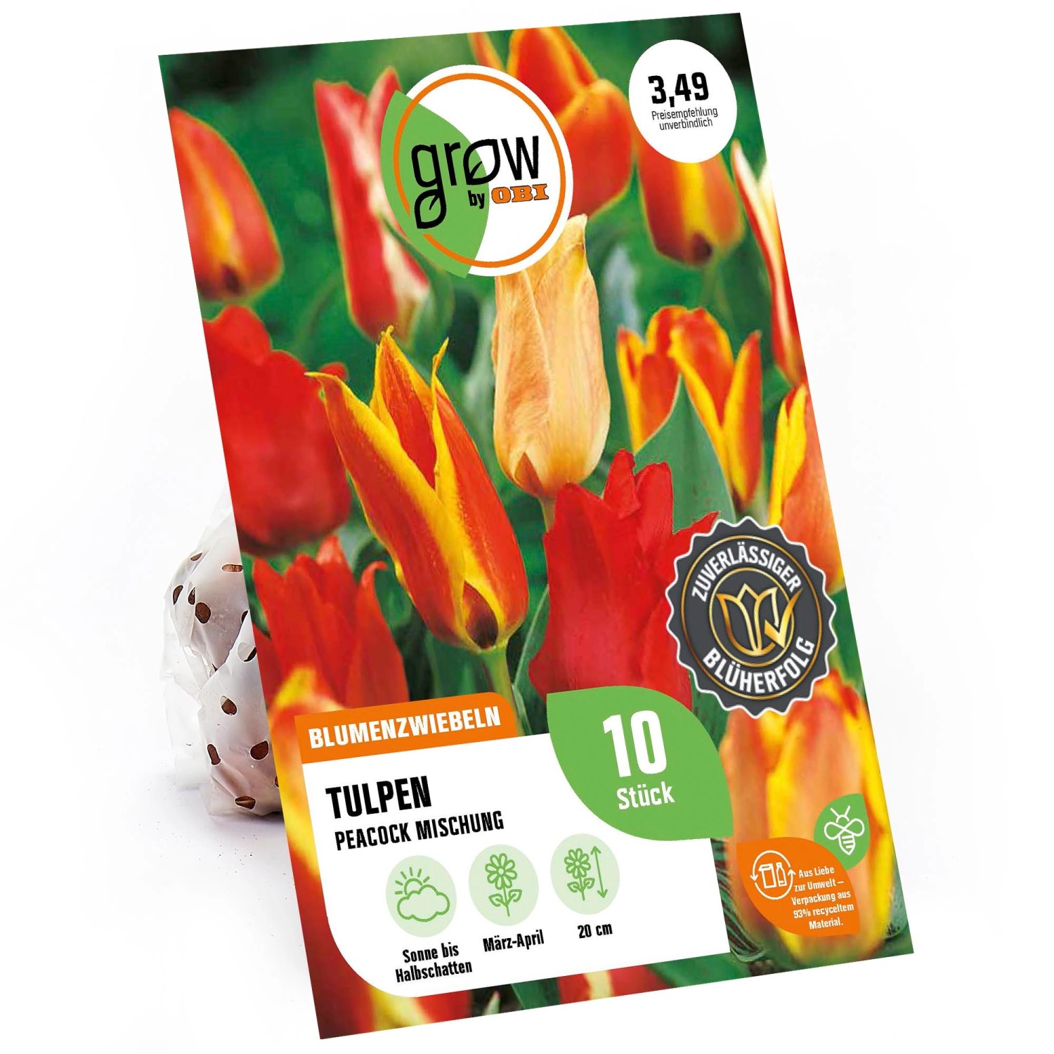 GROW by OBI Tulpen Peacock Mischung 8 Stück Tulipa peacock Mixed von GROW by OBI