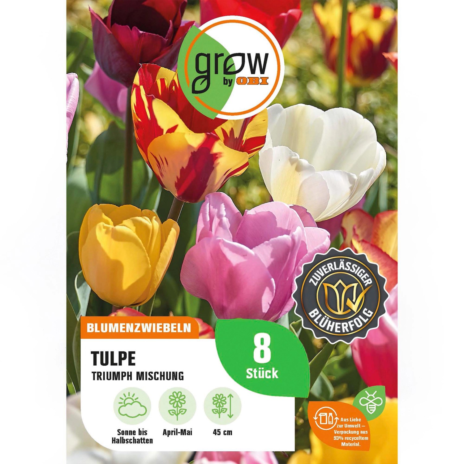 GROW by OBI Tulpen Triumph Mischung Mischung 8 Stück Tulipa triumph Mixed GROW by OBI Tulpen Triumph Mischung Mischung 8 Stück Tulipa triumph Mixed von GROW by OBI