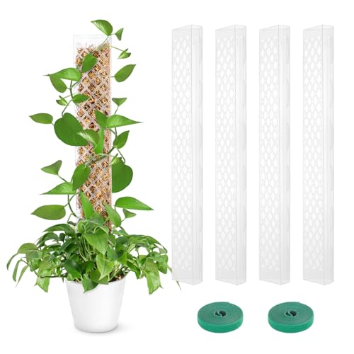 GROWNEER 4pcs 24 Zoll Kunststoff Moosstange für Pflanzen Monstera, Kunststoffstangen für Kletterpflanzen Kunststoff Moosstange Stapelbar für Pflanzen Monstera, Pflanzenunterstützung für Zimmerpflanzen von GROWNEER