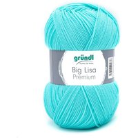 Gründl - Wolle Big Lisa Premium uni 250 g türkis Handarbeit Gründl - Wolle Big Lisa Premium uni 250 g türkis Handarbeit von GRÜNDL