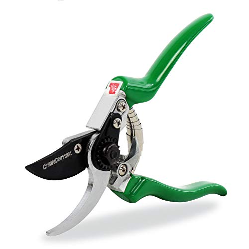 GRÜNTEK Gartenschere FALKE Teflon Baumschere, Klinge aus japanischem SK5 Stahl, Bypass Pflanzenschere 215 mm Secateurs, Ergonomische Garten-Pflanzen-Blumenschere von GRÜNTEK