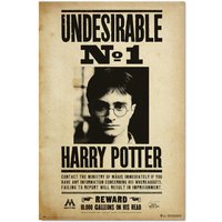 Poster harry potter unerwünscht n1 von GRUPO ERIK