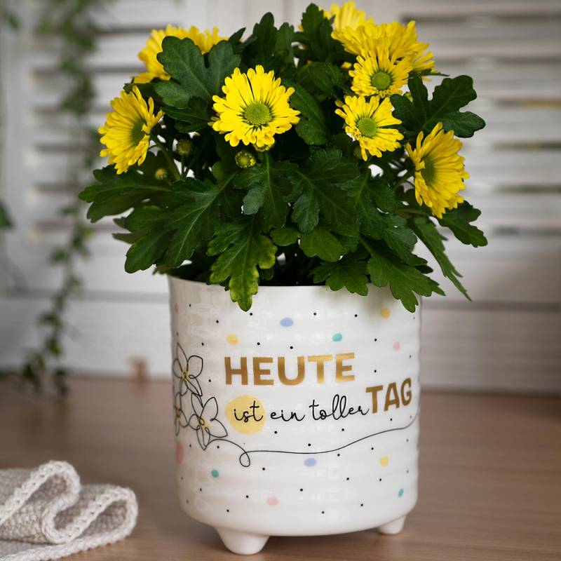 Blumenübertopf »Heute ist ein toller Tag« von GRUSS&CO