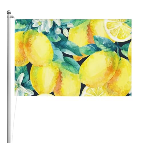 Frisches Obst Gelbe Zitrone Limetten, Gartenflagge, Hof, dekoratives Banner, doppelseitige Flagge, 60 x 90 cm, für drinnen und draußen von GRatka
