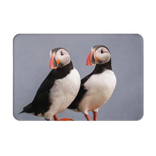 GRatka Fußmatte für den Außenbereich, rutschfeste Fußmatten für den Inneneingang, Teppichunterlage für die Außenterrasse 40 x 60 cm, Papageientaucher-Vogelpaar von GRatka
