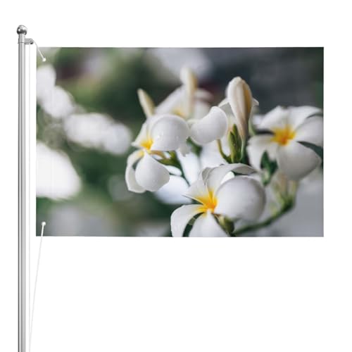 Schöne weiße Frangipani Wake Plumeria Blumen, Gartenflagge, Hof, dekoratives Banner, doppelseitige Flagge, 60 x 90 cm, für drinnen und draußen Schöne weiße Frangipani Wake Plumeria Blumen, Gartenflagge, Hof, dekoratives Banner, doppelseitige Flagge, 60 x 90 cm, für drinnen und draußen von GRatka