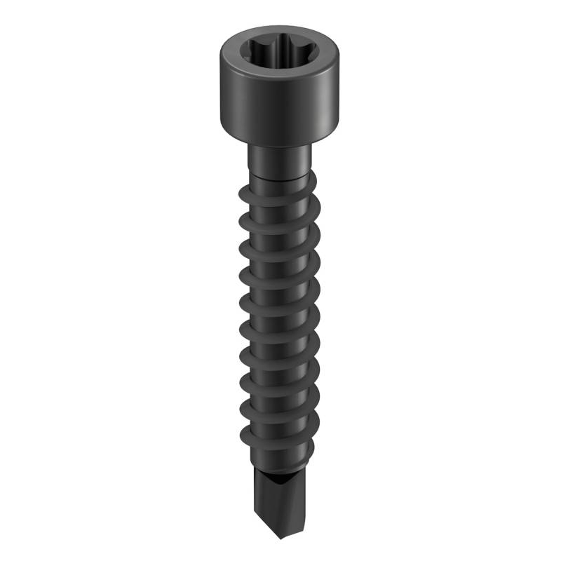 GS Terrassen Bohrschraube für Dielenclips 4,2 mm x 28 mm Schwarz 100 Stück von GS Terrasen Montagesysteme