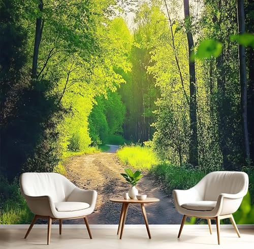 Fototapete Selbstklebende 350X260Cm 3D Wandposter Braungrün Feldweg Im Wald Wandkunst Große Fototapete Junge Natürliche Landschaft Für Schlafzimmer Kinderzimmer Dekoration Kunst Fototapete Selbstklebende 350X260Cm 3D Wandposter Braungrün Feldweg Im Wald Wandkunst Große Fototapete Junge Natürliche Landschaft Für Schlafzimmer Kinderzimmer Dekoration Kunst von GSAEIMCT