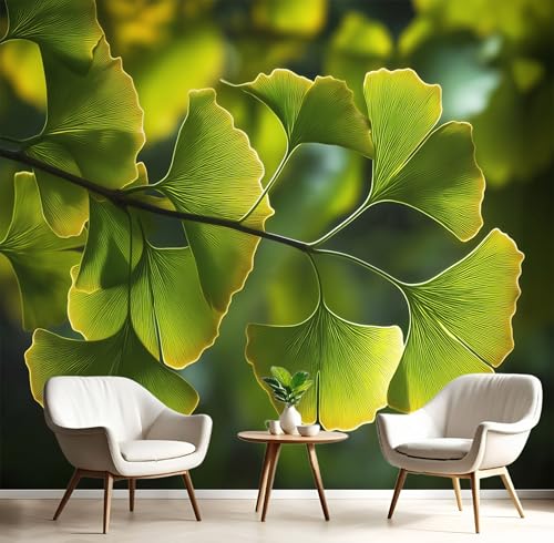 Grün Sonnenschein-Ginkgoblätter Fototapete,Wandbild Natürliche Pflanzen 3D Effekt Aus Seide Tapeten Wandbilder Für Wohnzimmer Schlafzimmer Kinderzimmer Dekoration Wanddeko,400X280Cm Grün Sonnenschein-Ginkgoblätter Fototapete,Wandbild Natürliche Pflanzen 3D Effekt Aus Seide Tapeten Wandbilder Für Wohnzimmer Schlafzimmer Kinderzimmer Dekoration Wanddeko,400X280Cm von GSAEIMCT