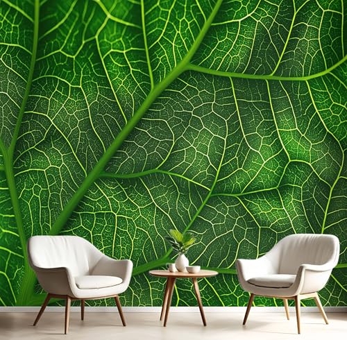 Tapete Effekt 3D Fototapete Grün Grüne Blattadern 400X280Cm Seidetapete Panorama Wandbild,Natürliche Pflanzen Tapeten Wandtapete Schlafzimmer Wohnzimmer Tv Hintergrund Wanddekoration Tapete Effekt 3D Fototapete Grün Grüne Blattadern 400X280Cm Seidetapete Panorama Wandbild,Natürliche Pflanzen Tapeten Wandtapete Schlafzimmer Wohnzimmer Tv Hintergrund Wanddekoration von GSAEIMCT