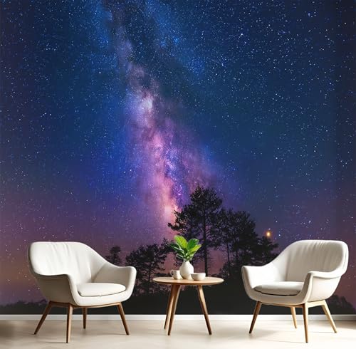 Tapete Effekt 3D Fototapete Lila Sternenhimmel Und Galaxie 450X300Cm Seidetapete Panorama Wandbild,Fantasielandschaft Tapeten Wandtapete Schlafzimmer Wohnzimmer Tv Hintergrund Wanddekoration Tapete Effekt 3D Fototapete Lila Sternenhimmel Und Galaxie 450X300Cm Seidetapete Panorama Wandbild,Fantasielandschaft Tapeten Wandtapete Schlafzimmer Wohnzimmer Tv Hintergrund Wanddekoration von GSAEIMCT