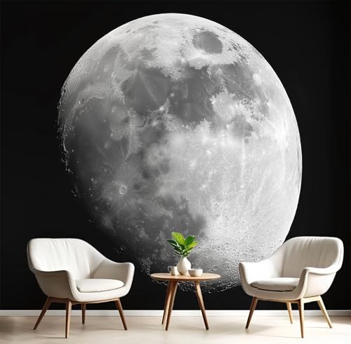 Wandbilder Fototapete Schwarz Weiß Weltraummond,3D Effekt Tapete Planetarische Landschaft,Seidenwandbilder Für Wohnzimmer Schlafzimmer Kinderzimmer Esszimmer Tv Hintergrund Wanddekoration,150X105Cm Wandbilder Fototapete Schwarz Weiß Weltraummond,3D Effekt Tapete Planetarische Landschaft,Seidenwandbilder Für Wohnzimmer Schlafzimmer Kinderzimmer Esszimmer Tv Hintergrund Wanddekoration,150X105Cm von GSAEIMCT