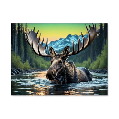 GSBRSNTS Schwimmender Elch im diffusen Licht der nördlichen Sonne，Metall Blechschilder，Wanddekoration Blechschild Retro Dekoration Schild Home Bar（30 x 40 cm） 12 x 16 Zoll-F71 von GSBRSNTS