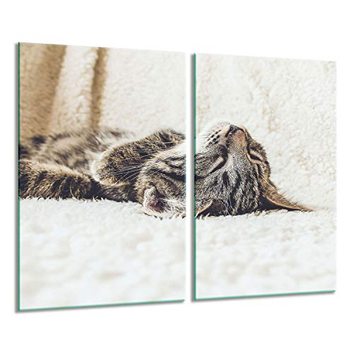 Herdabdeckplatten Ceranfeldabdeckung Spritzschutz Glas 2x30x52 Katze von GSC