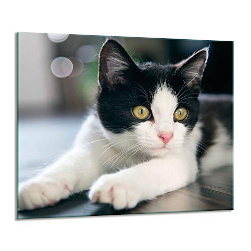 Herdabdeckplatten Ceranfeldabdeckung Spritzschutz Glas 60x52 Katze von GSC