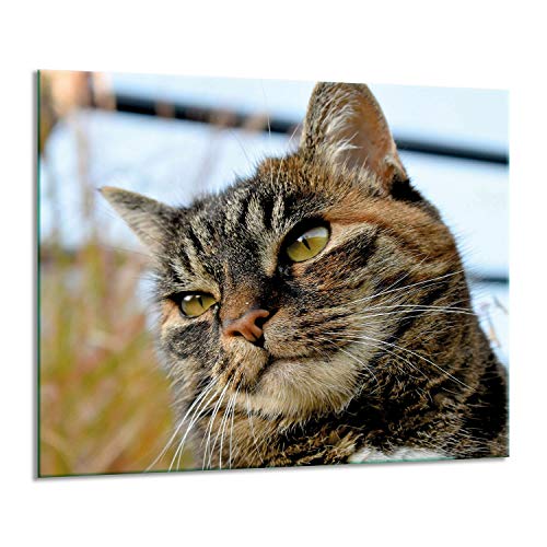 Herdabdeckplatten Ceranfeldabdeckung Spritzschutz Glas 60x52 Katze von GSC