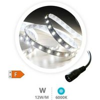 GSC - Rolle 5M LED-Streifen 12W/M 6000-6500K IP44 24V von GSC