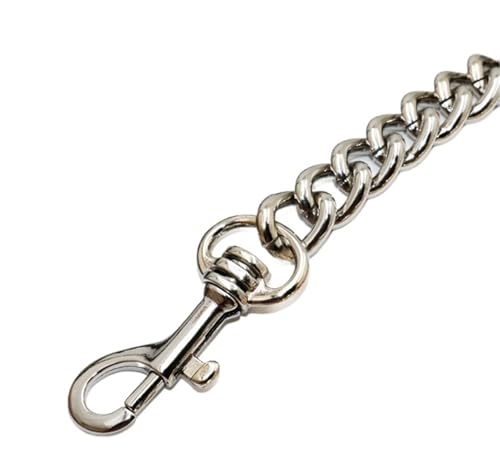 Ketten Ersatzkette Schultertaschengurte for Handtaschengriffe(Silver,100cm) von GSCLZ