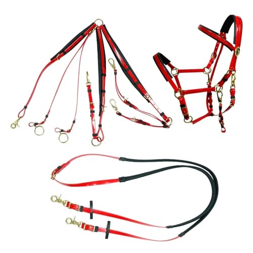 Komplettes Set Pferdesport Ausdauerrennen Zaumzeug Zügel PVC Halter und Martingale(Red) von GSCLZ