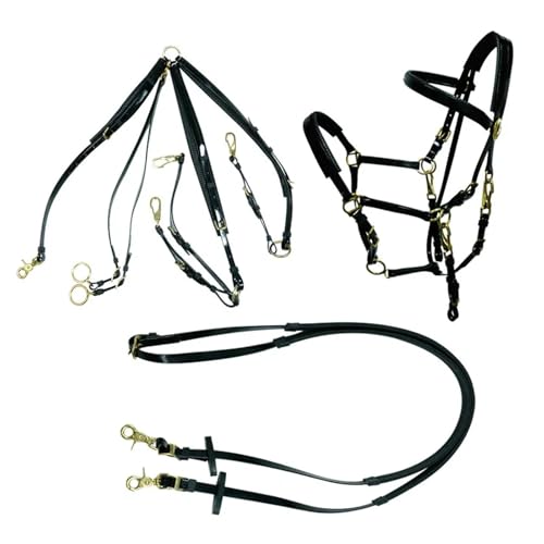 PVC Racing Arabisches Pferdezaumzeug Wasserdichtes Gummi-Kopfstück Zügel Westernhalter(Black) von GSCLZ