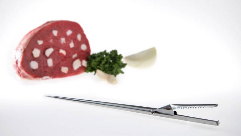 GSD HAUSHALTSGERÄTE Spickmesser Spicknadel aus Edelstahl von GSD HAUSHALTSGERÄTE