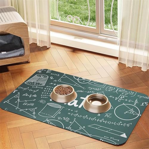 GSGCSBYMLG Formulas Shapes Theory Mathematikunterricht Wort gedruckt Haustier saugfähige Leder-Tischdecke Tischset von GSGCSBYMLG
