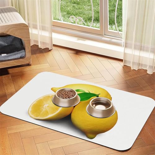 GSGCSBYMLG Saugfähige Leder-Tischdecke mit Zitronenmuster von GSGCSBYMLG